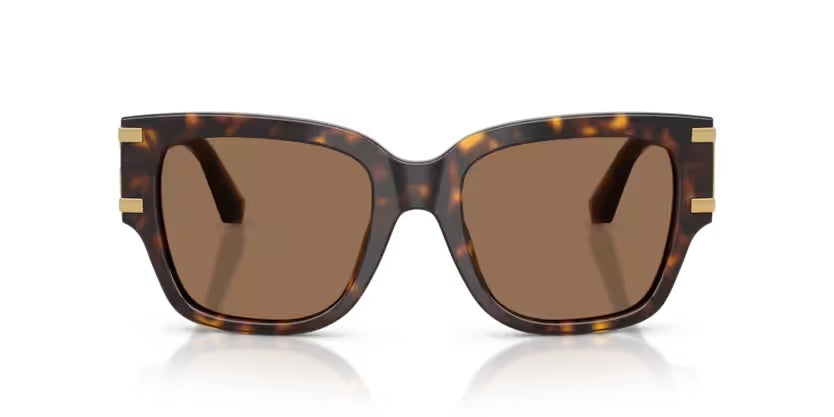 DOLCE & GABBANA 4563 502/73