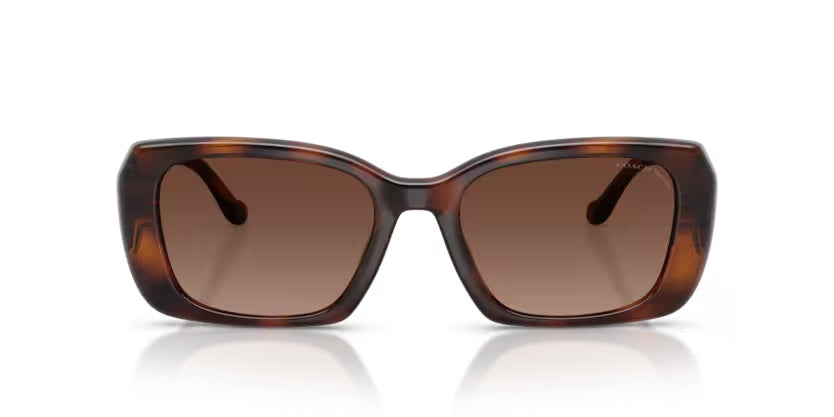 COACH 8435U CBY83 5120T5 DARK TORTOISE