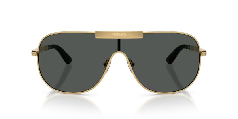 VERSACE 2293 1002/87