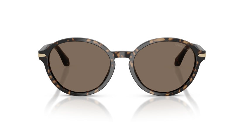 GIORGIO ARMANI 8237F 62357