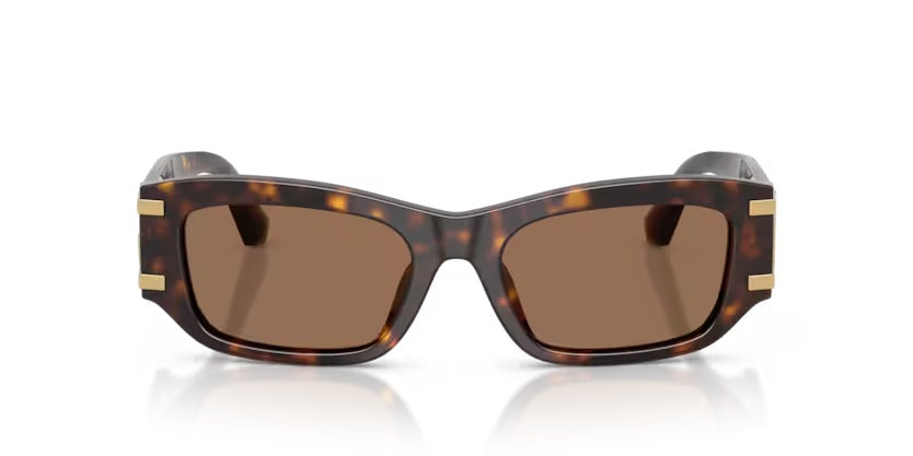 DOLCE & GABBANA 4564 502/73