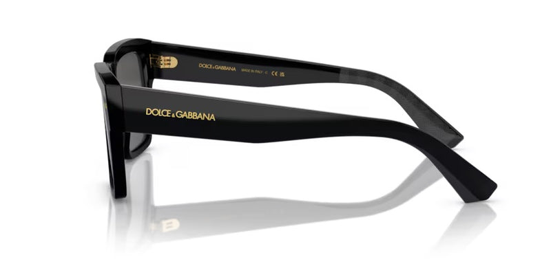 DOLCE & GABBANA 0DG4431 501/87