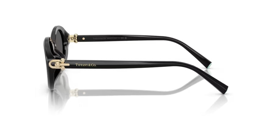TIFFANY & CO 4242D 8361S4