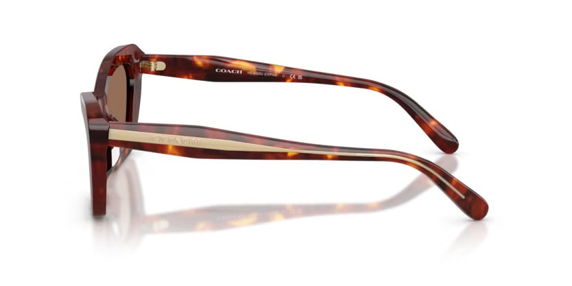 COACH 8452U CDP52 593873 WALNUT TORTOISE