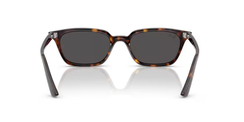 RAY-BAN ZAYA 4456 1359/87