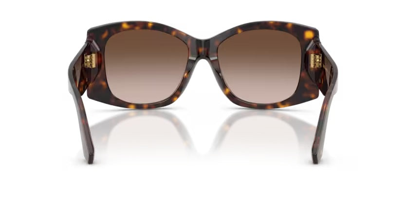 DOLCE & GABBANA 4501 502/13