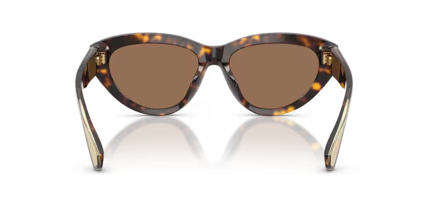 DOLCE & GABBANA 4558 502/73