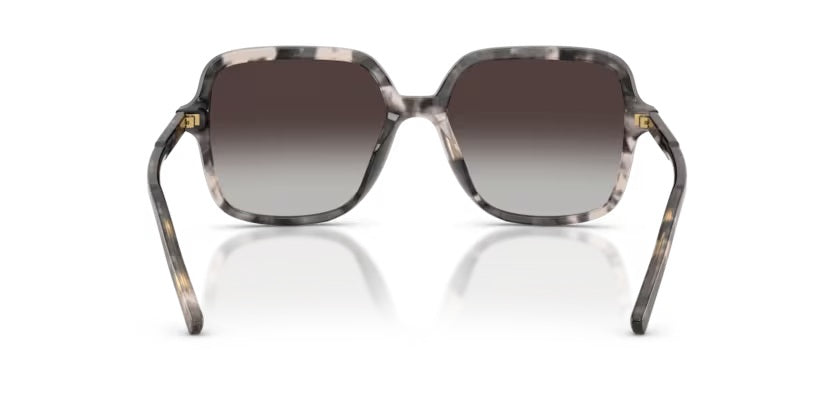 DOLCE & GABBANA 4539 3172/8G