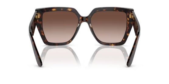 DOLCE & GABBANA 4438 502/13