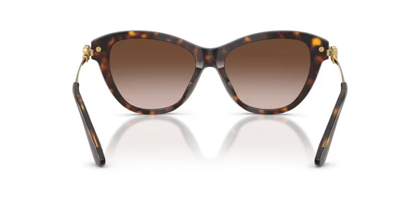 DOLCE & GABBANA 4534 5027/13
