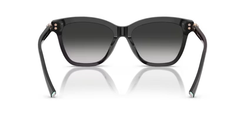 TIFFANY & CO 4241D 80013C