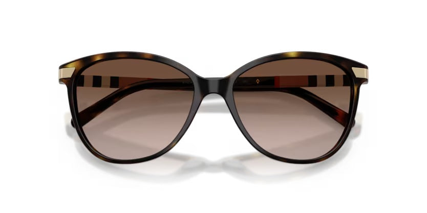 BURBERRY 4216 3002/13