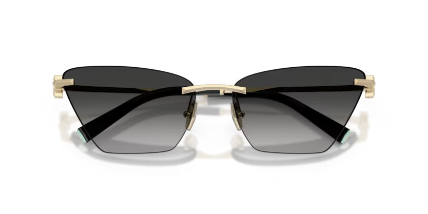 TIFFANY & CO 3120 62413C