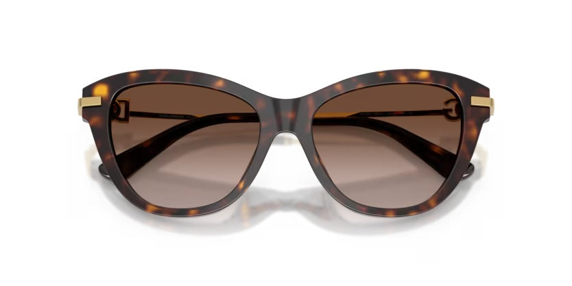 DOLCE & GABBANA 4534 5027/13