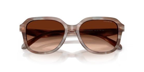 COACH 8437U CBY87 STRIATED REDWOOD/MAPLE 590174