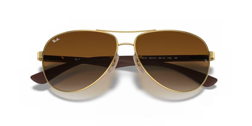 RAY-BAN 8313 001/51
