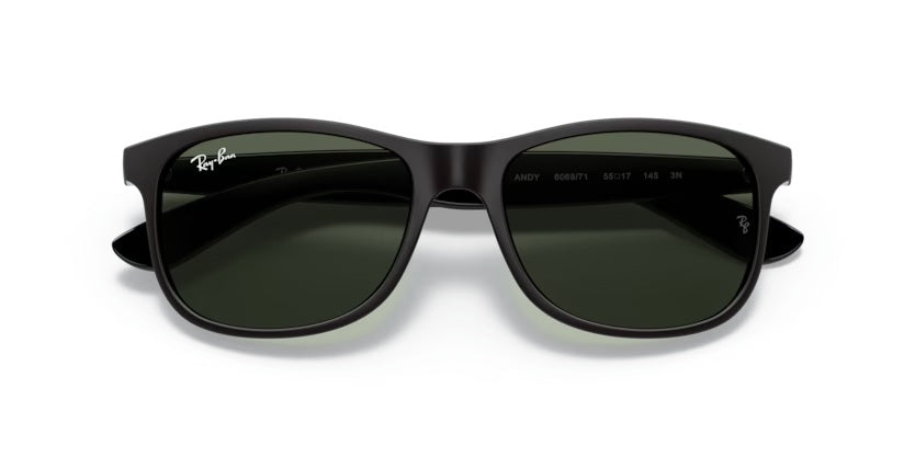 RAY-BAN 4202 ANDY 6069/71