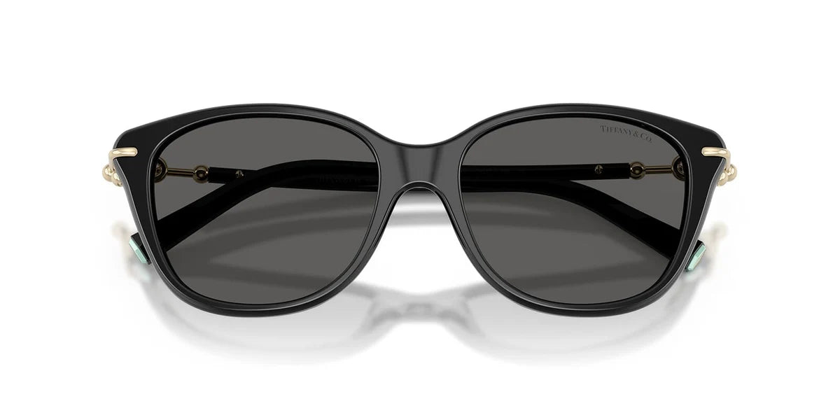 TIFFANY & CO 4267 8001S4