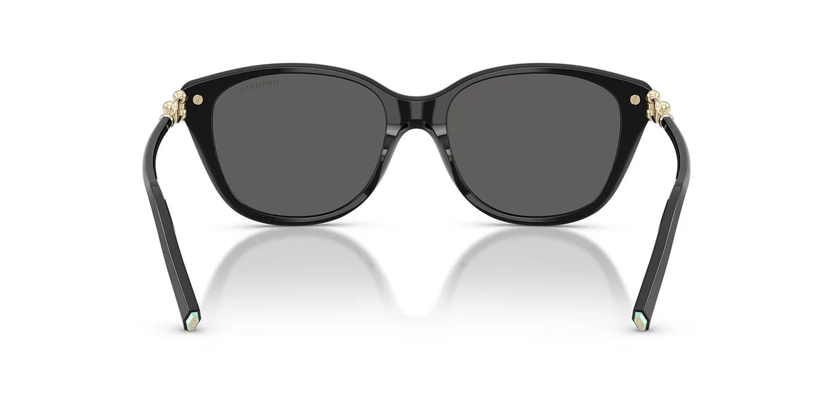 TIFFANY & CO 4267 8001S4